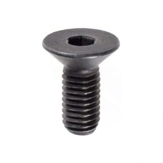 8-1.25 X 20MM FLAT SOCKET CAP SCW DIN 7991 CL10.9