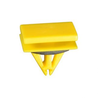 GM MOULDING CLIP