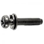 PHILLIPS ROUND HEAD LICENSE PLATE SCREW M6-1.0 X 29MM