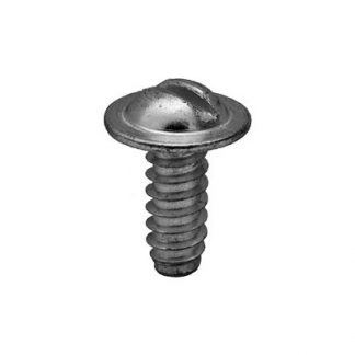 1/4 X 5/8 SLTD. RD.WA.HD.B SCREW ZINC